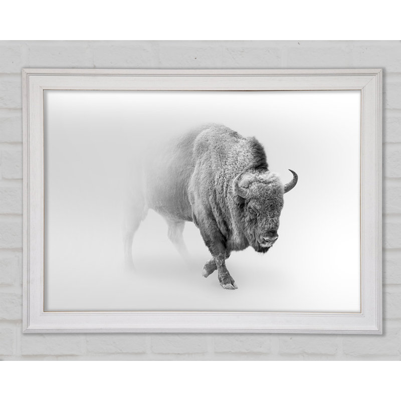 Bison In The Mist - Single Picture Frame Print, 59.7cm H x 84.1cm W x 3.4cm D, Black Framed Paper