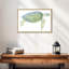 Tortue de mer tranquille I-324006141-324006130
