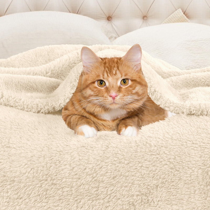 Ivory King Reversible Fleece Wool Blanket