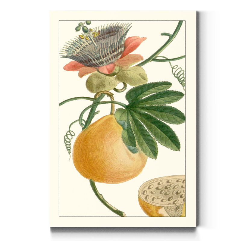 Reproduction d’art sur toile tendue « Turpin Exotic Botanical III », H 36 po x l 24 po x P 1 po