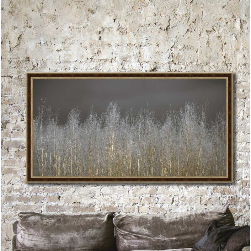 " Silver Forest "
