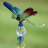 Bethlehem Weather Resistant Insects Garden Stake