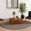 Table basse simple avec rangement Dimaggio-1112337232-1112337238