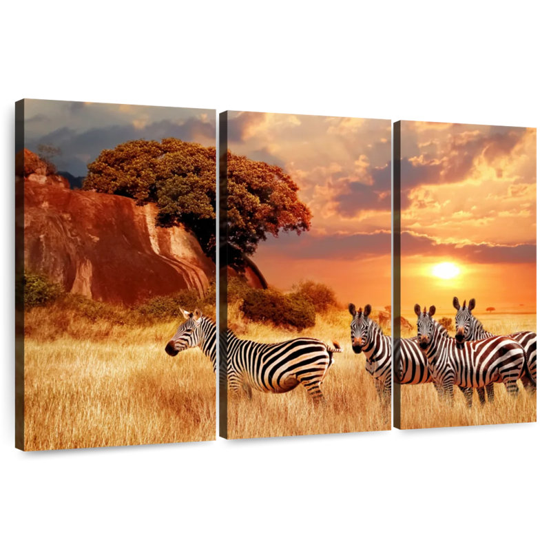 Zèbres Brampt Savanna, H 20 po x l 33 po