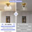 Semi Flush Mount