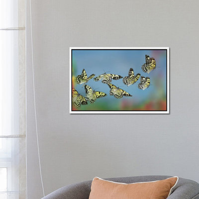 Paper Kite Butterflies Flying, Philippines 1 Piece Wall Art on Canvas