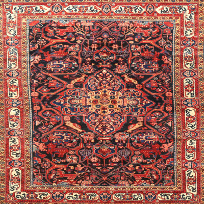 Jonty Oriental Indoor Rug