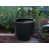 Blanc sélectionné