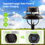 Ensemble de lumières de sentier à énergie solaire à DEL intégrées