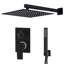 Carbon Rain Dual Shower Head-1526677243