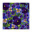 «Fertile Rising Pattern Pansies» par Taryn, reproduction d'art sur toile tendue-26112505