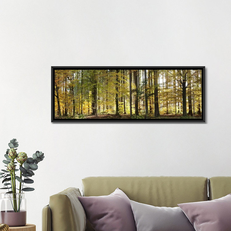 " Trees In Autumn, Hohenlohe, Baden-Wurttemberg, Germany " by Panoramic Images, 12" H x 36" W x 1.5" D, Black Framed Canvas