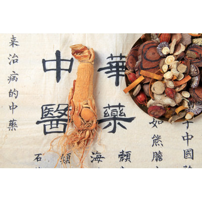 Traditional Chinese Medicine - Wrapped Canvas Print