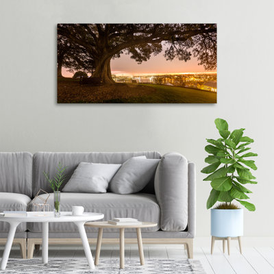 Old Tree - Wrapped Canvas Print