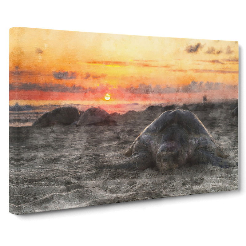 Turtle Beach - Wrapped Canvas, 50cm H x 76cm W x 3cm D