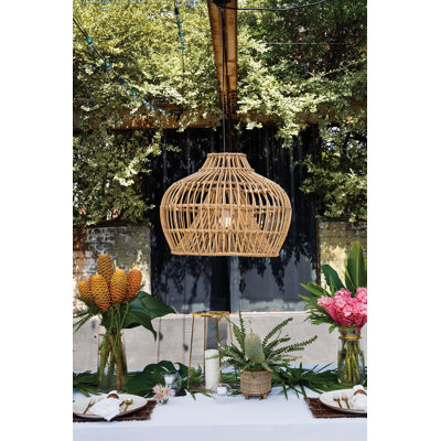 20.25'' H Novelty Pendant Shade