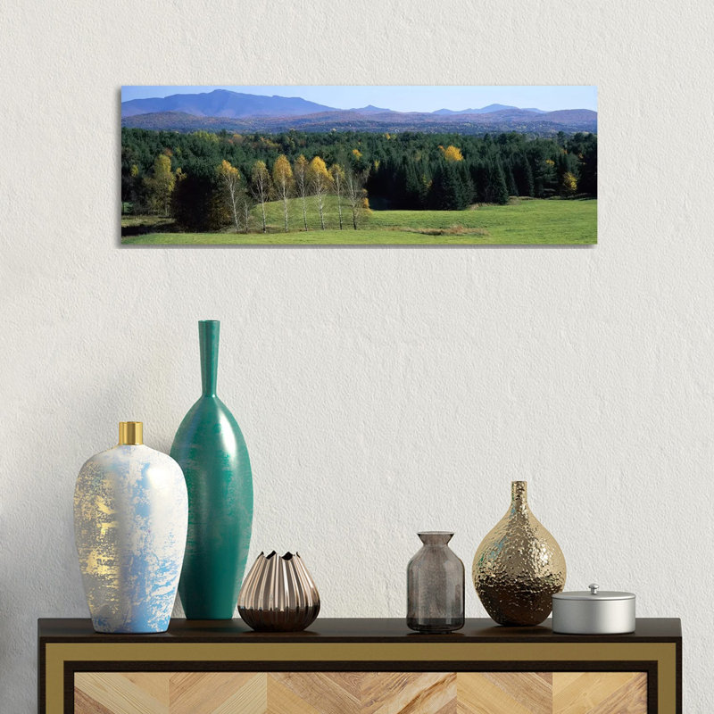 Trees In A Forest, Stowe, Lamoille County, Vermont, USA - Wrapped Canvas Panoramic Print, 30.48 cm H x 91.44 cm W x 1.91 cm D