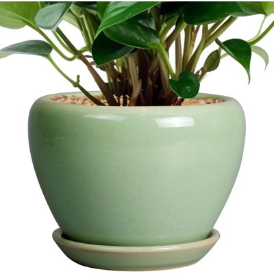 6 Inch Reactive Greenceramic Succulent Planter Pot