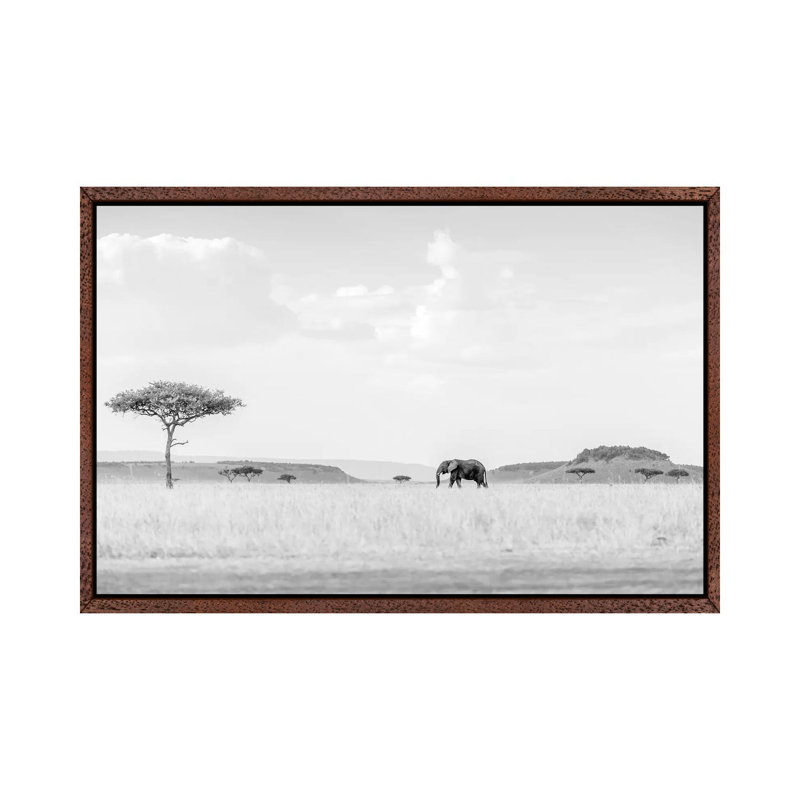 High Key Savannah 1 Piece Wall Art on Canvas, 45.72cm H x 66.04cm W x 3.81cm D, Classic Brown Wood Floater Framed