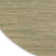 Nourison Essentials Green/Gold Indoor/Outdoor Area Rug