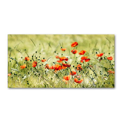Maki - No Frame Print on Canvas
