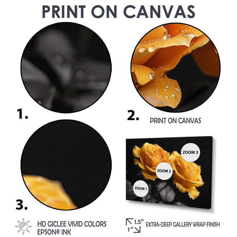 Monochromes de roses noires et jaunes Bloom II - roses, impression d'art mural, H 28 po x l 60 po, Cadre flottant noir