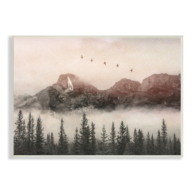 «Foggy Weather Mountain Landscape Birds Pine Trees» par Daniel Sproul - photographie
