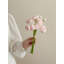 Bouquet de pivoines-825686237