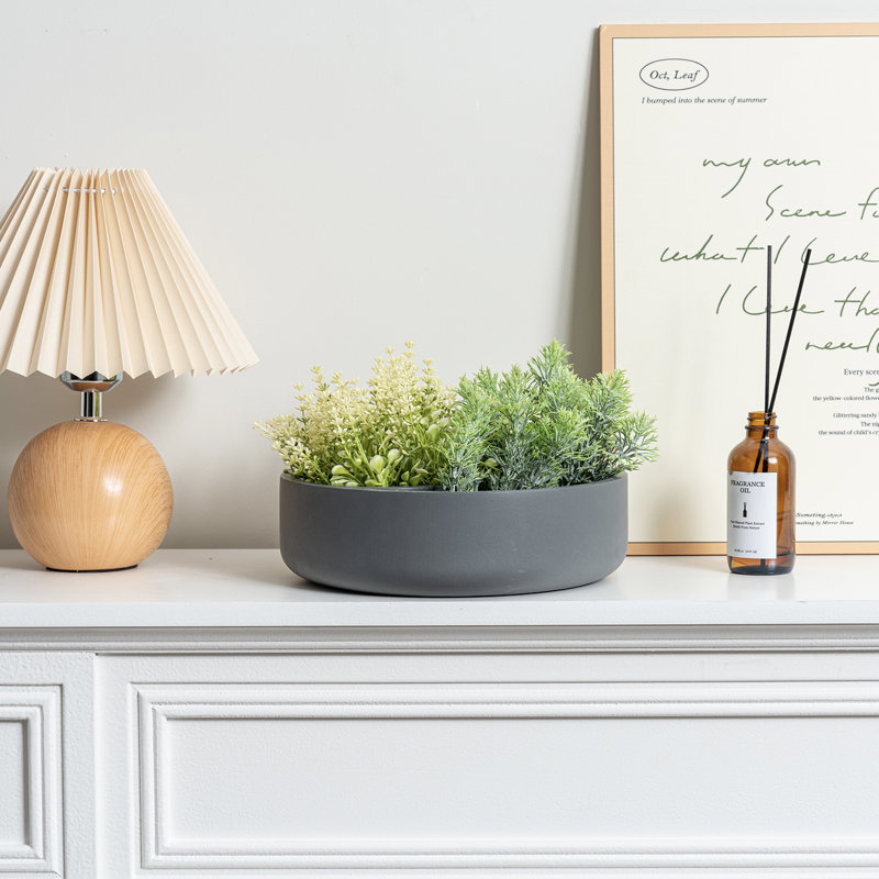 Indoor 8-Inch Concrete Flower Pot Planter, 7.7 cm H x 24 cm W x 24 cm D