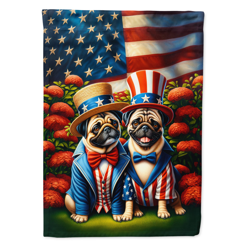 Drapeau «All American House», Carlin