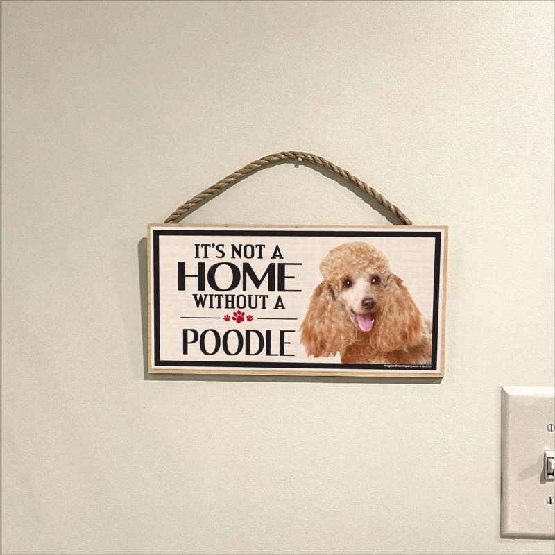 «It's Not a Home sans notre caniche»
