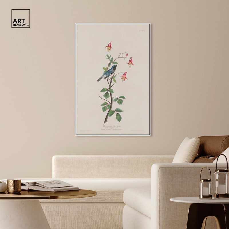Reproduction d'art sur toile, paruline bleue, 1832, H 55 po x l 37 po, Cadre flottant blanc