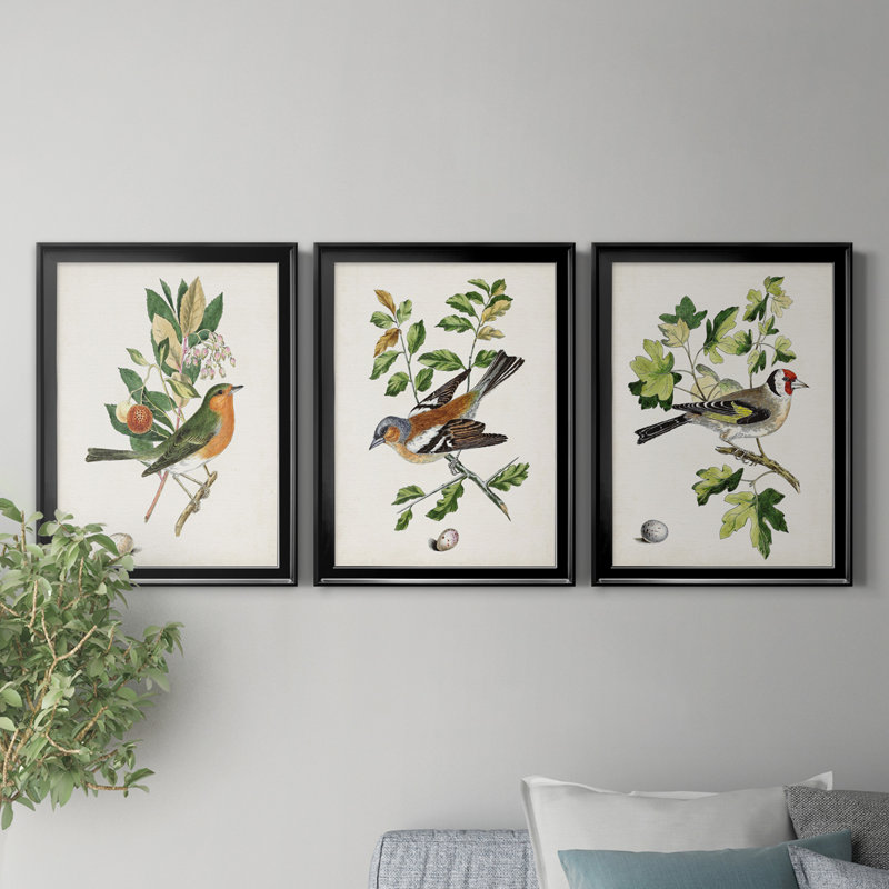 Oiseau antique, botanique et œuf I - ensemble de 3 peintures sur toile encadrées, H 18,5 po x l 73,5 po x P 1,5 po