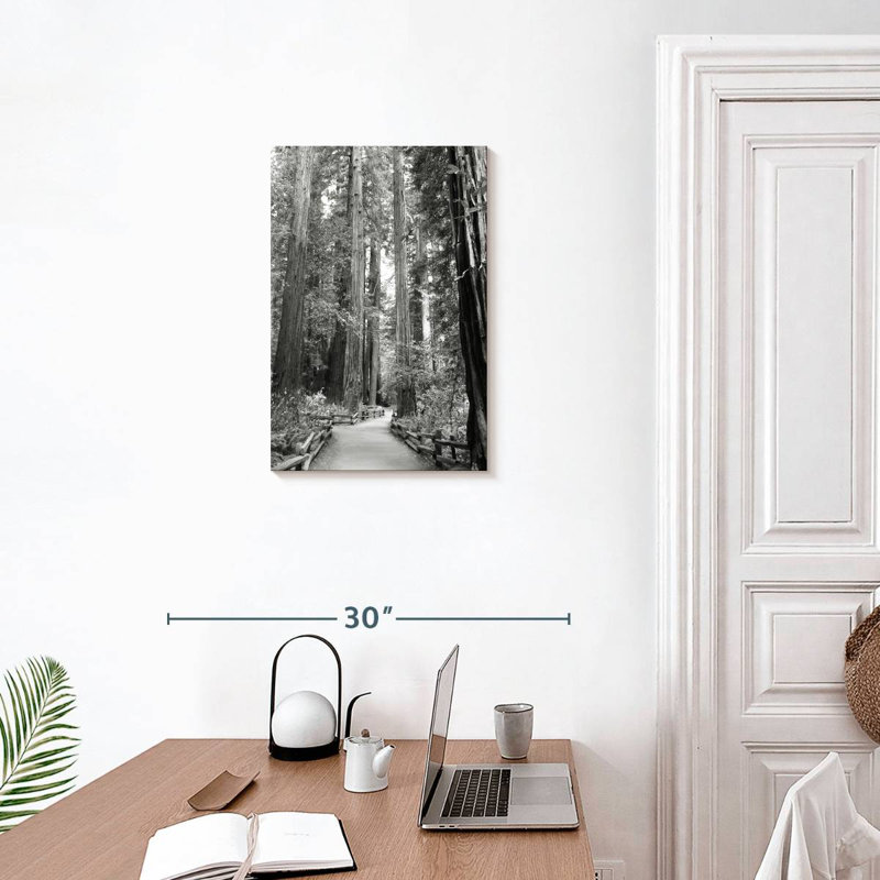 Alvord Tree Path I, H 24 po x l 16 po
