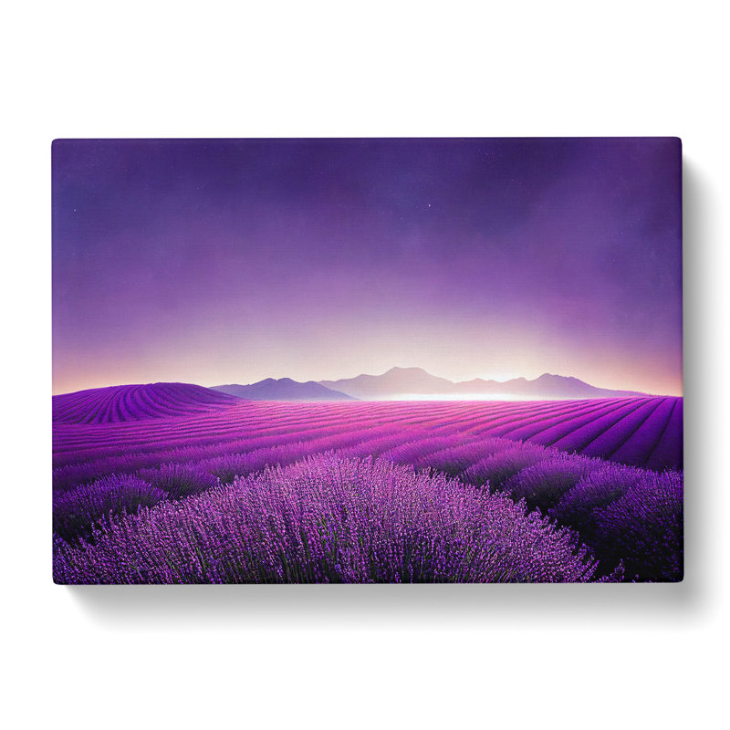 Sparkling Lavender Flower Field - Wrapped Canvas, 40cm H x 60cm W x 3cm D