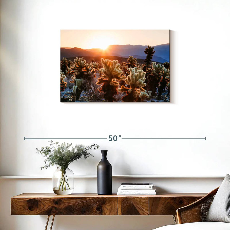 Jardin de cactus Harnek, H 20 po x l 30 po