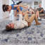 NAAR MARFI Collection 6X9 Blue / Silver / Oriental Area Rug-204481955