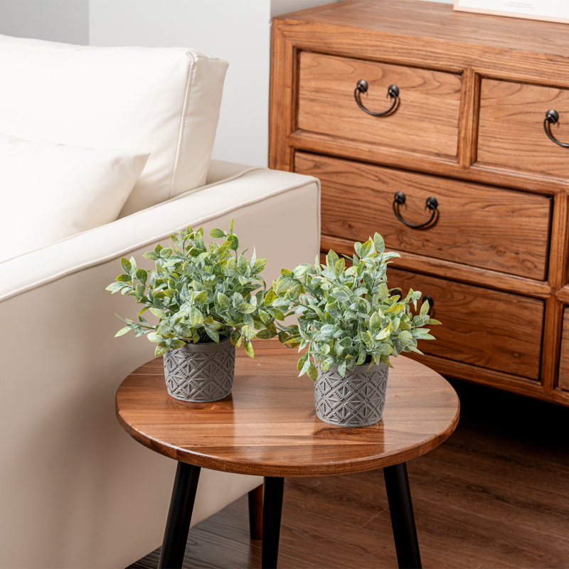 2 - Piece Artificial Plant Set