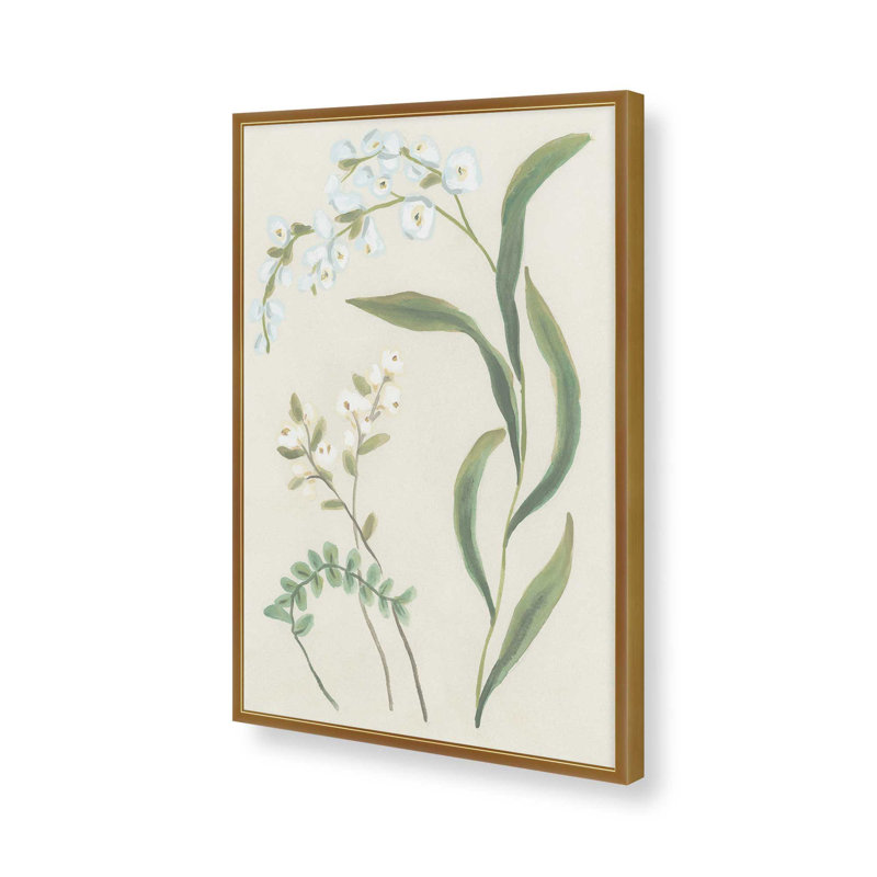 «Snowdrop Stems II» par June Erica Vess, reproduction d'art sur toile, H 16 po x l 12 po, Doré
