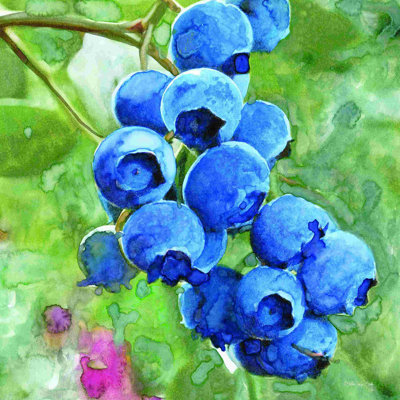 " Blueberries 4 "