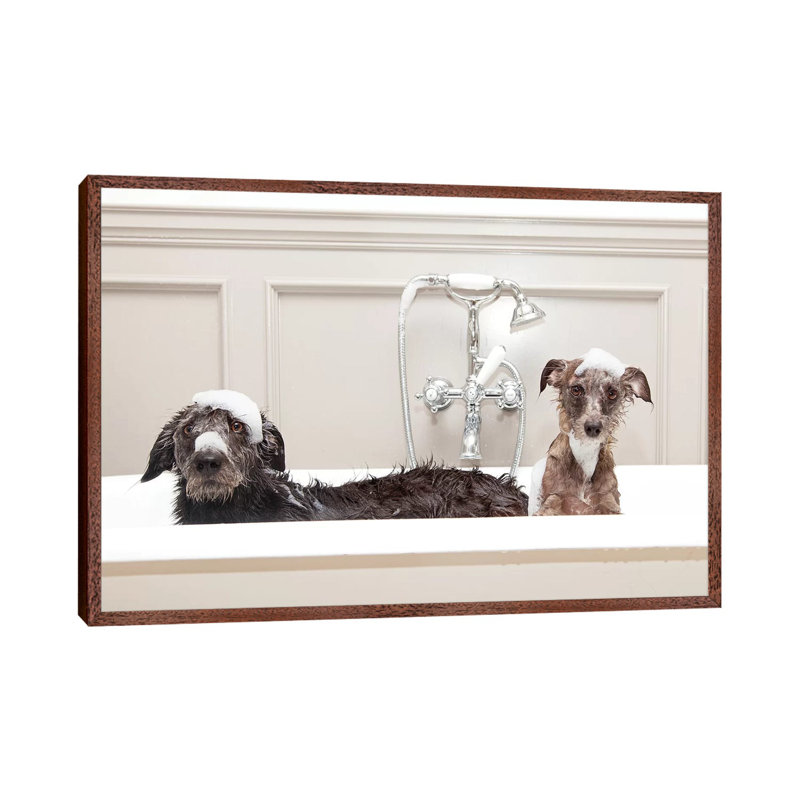 Two Funny Wet Dogs In Bathtub by Susan Schmitz - Print on Canvas, 101.6 cm H x 66.04 cm W, Classic Brown Wood Framed