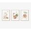 Ensemble de reproduction d'art Woodland - impressions sans cadre