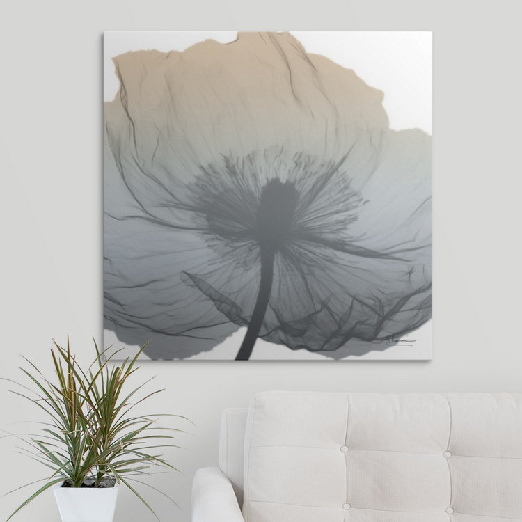 "Manigault" Poppy Earthy Beauty par Kiranjit, reproduction de photo, H 30 po x l 30 po x P 1,5 po, Toile