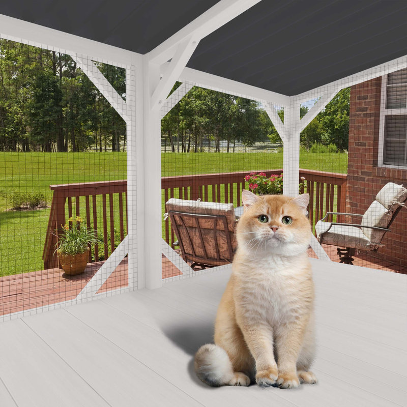Boîte pour chat, fenêtre d'extérieur pour chat 43,3 po pour bronzer, faire la sieste et regarder, perchoir pour grands chats d'intérieur - utilisation toutes saisons, cage pour chat