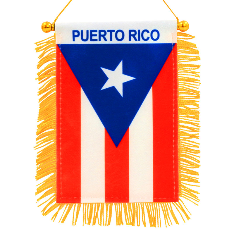 Drapeau suspendu pour fenêtre 4 x 6 pouces Anley Puerto Rico