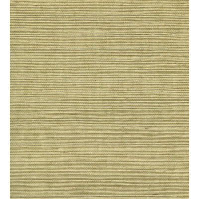 Rouleau de papier peint en sisal biologique
