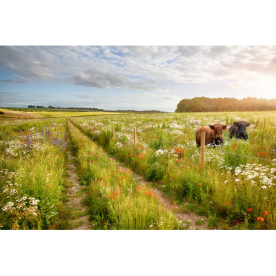 Flowers And Two Cows by Simotion - Wrapped Canvas Print