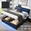 Solid Wood Bed