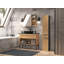 Galyean 1 - Door Accent Cabinet-730898417