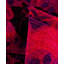 Tapis de couloir unique en laine 2 pi 7 po x 6 pi 2 po Huckaby